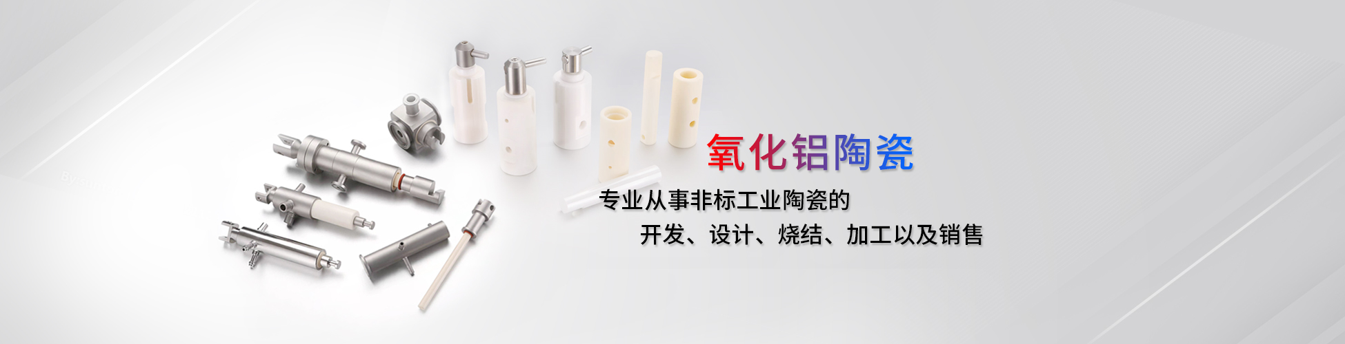 陶瓷柱塞